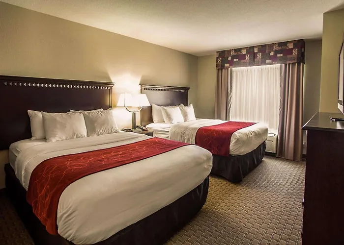 Hotel Comfort I-55 And I-74 Bloomington