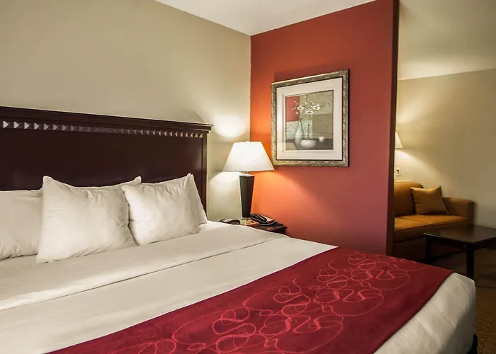Hotel Comfort I-55 And I-74 4*