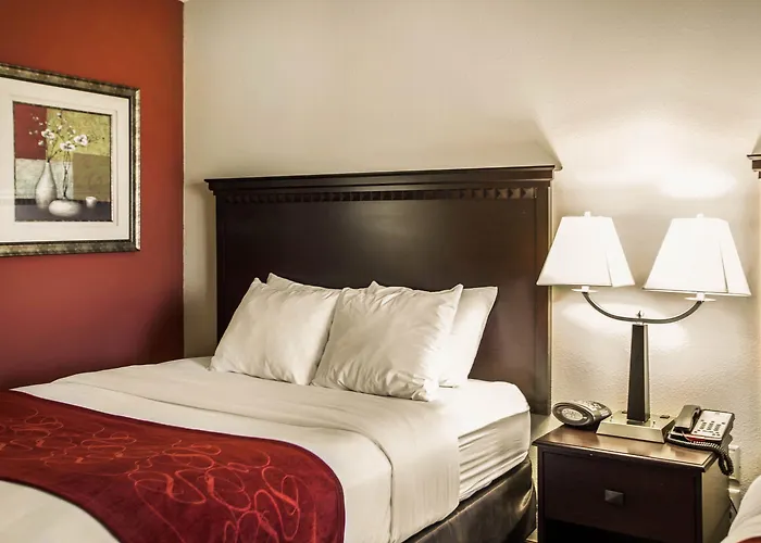 Comfort I-55 And I-74 Hotel
