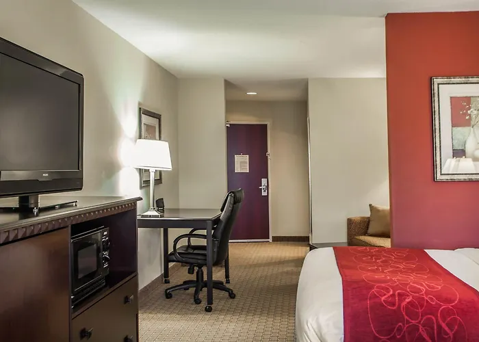 Hotel Comfort I-55 And I-74 4*