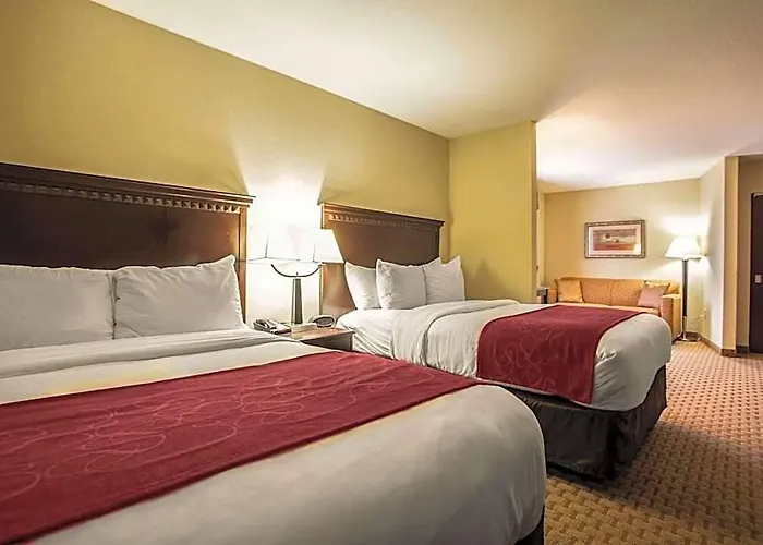 Hotel Comfort I-55 And I-74