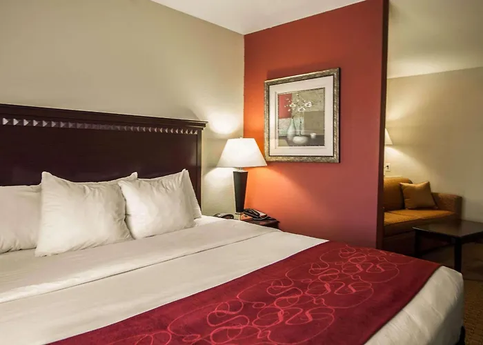 Hotel Comfort I-55 And I-74 4*