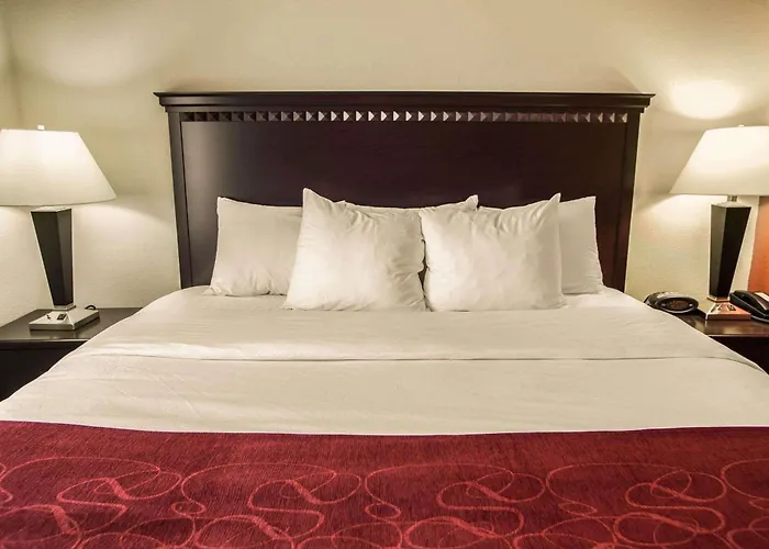 Comfort I-55 And I-74 Hotel Bloomington