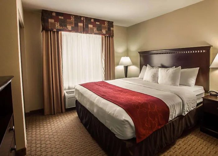 Hotel Comfort I-55 And I-74