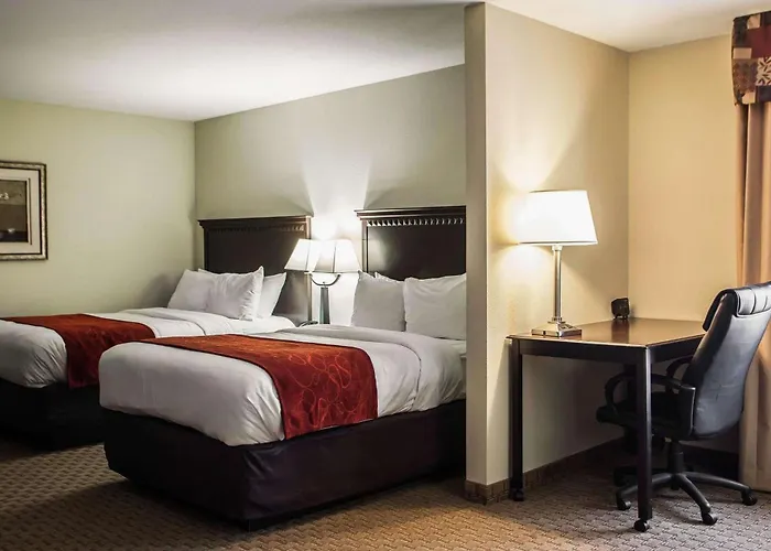 Comfort I-55 And I-74 Hotel